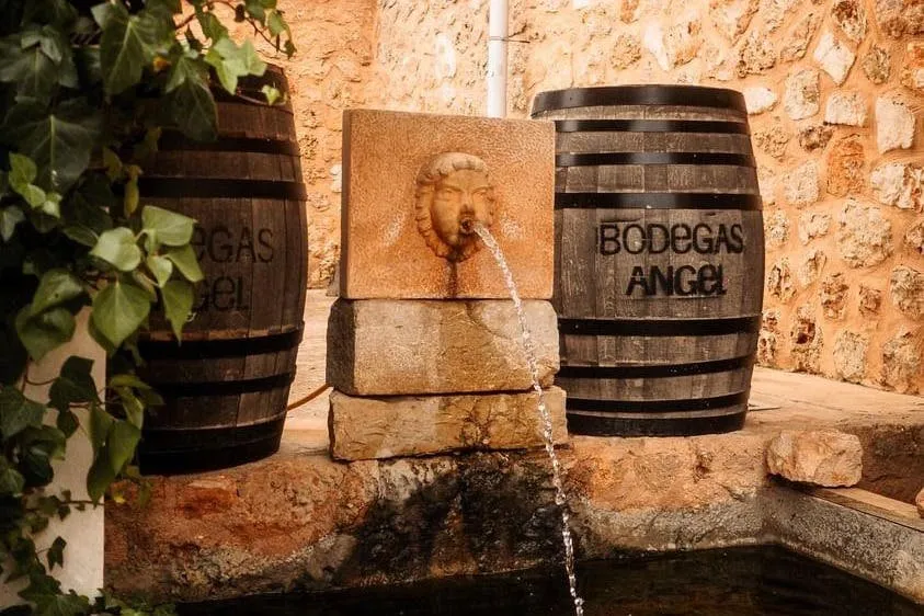 Mallorca: Guided Winery Tour + Transfer + Wine Tasting