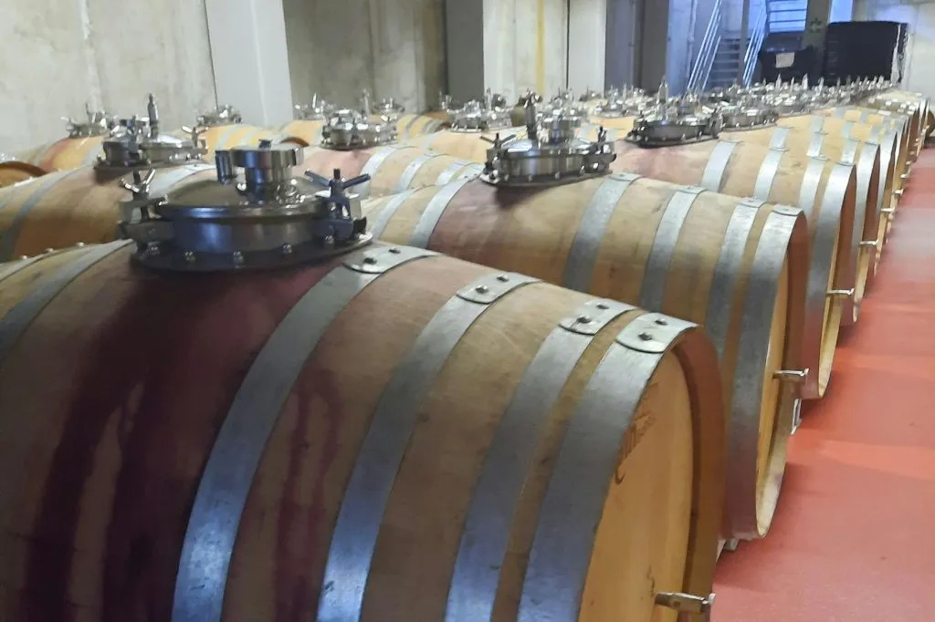 Mallorca: Guided Winery Tour + Transfer + Wine Tasting