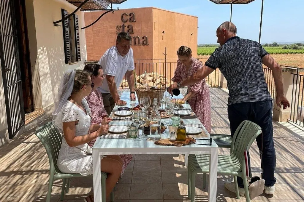 Mallorca: Winery & Olive Mill Guided Tour + Tastings + Roundtrip Transfer