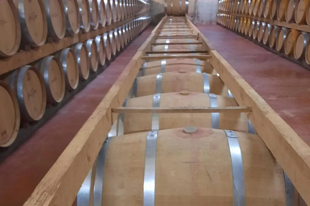 Mallorca: Winery & Olive Mill Guided Tour + Tastings + Roundtrip Transfer