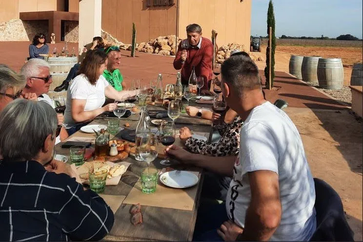Mallorca: Winery & Olive Mill Guided Tour + Tastings + Roundtrip Transfer