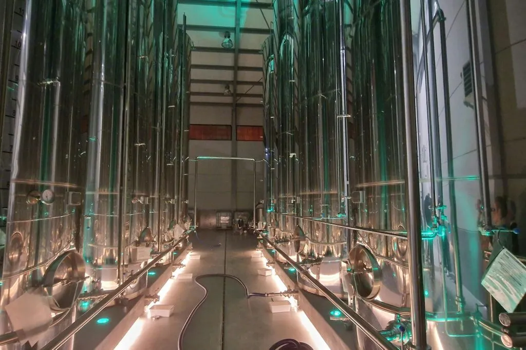 Mallorca: Winery & Olive Mill Guided Tour + Tastings + Roundtrip Transfer