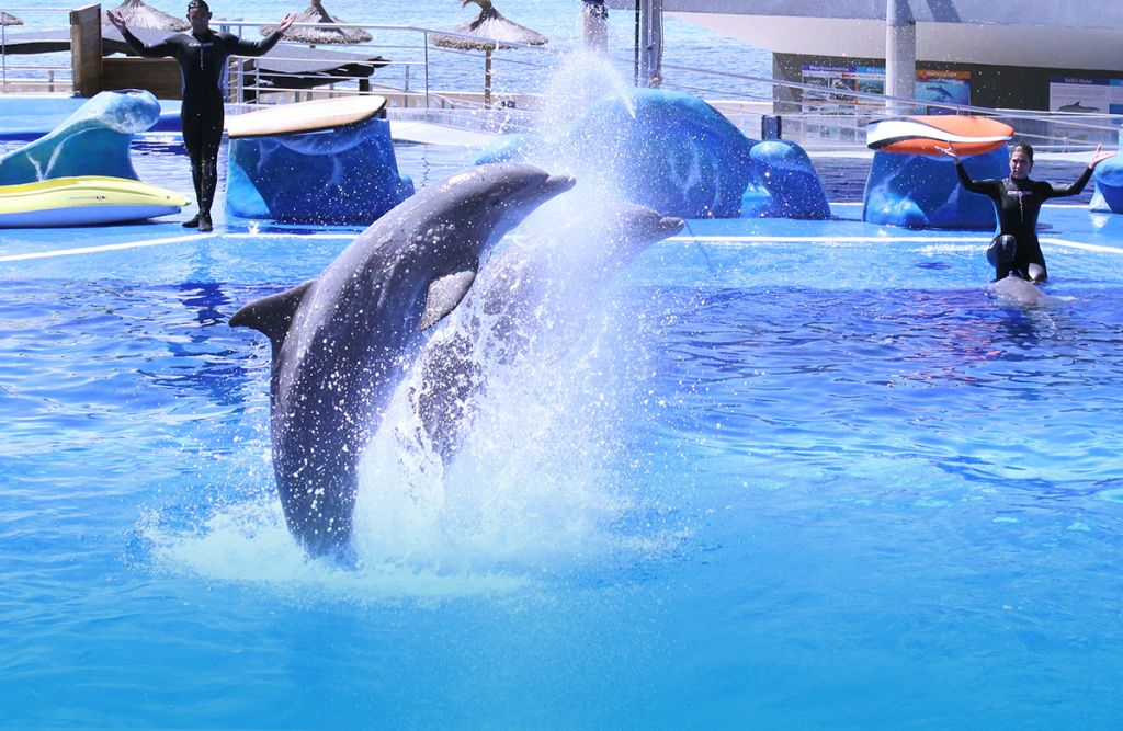 Marineland Mallorca: Entrada sin colas