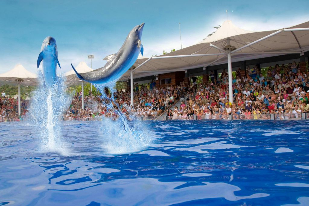 Marineland Mallorca: Entrada sin colas