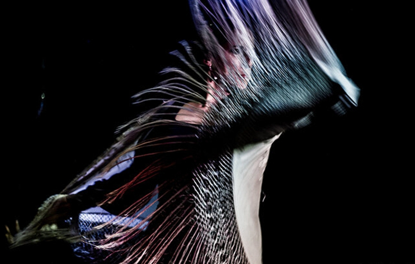 Madrid: Flamenco Show at Café Ziryab with a Drink
