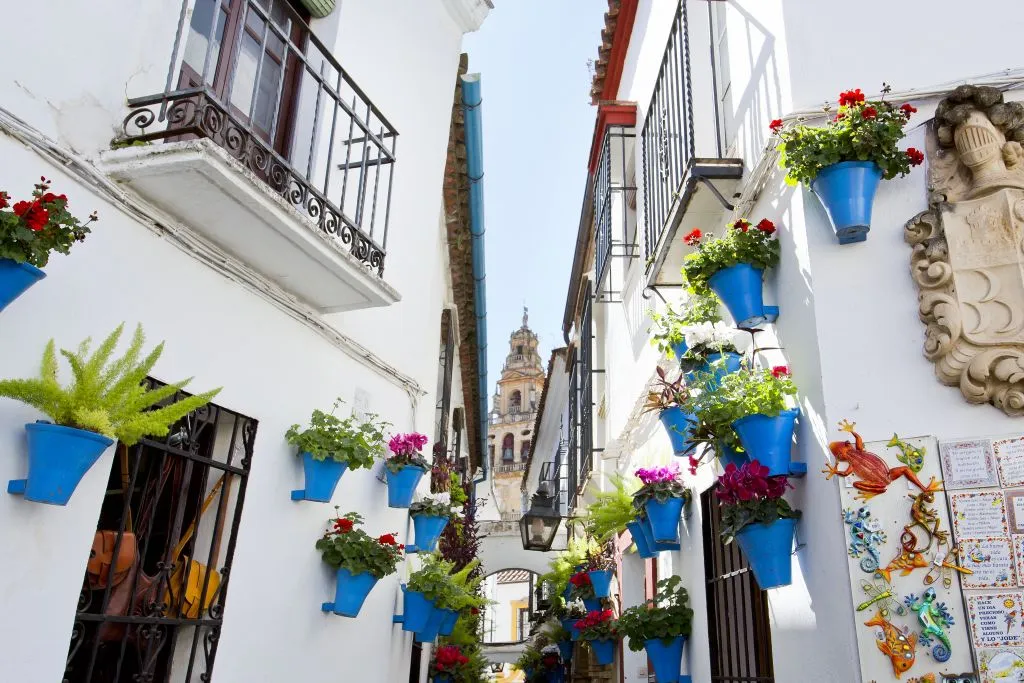 Córdoba Free Guided Tour
