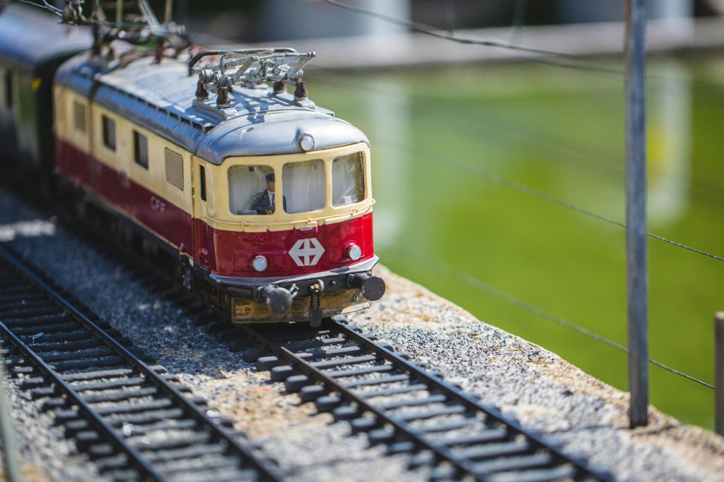 Swissminiatur: Entry Ticket