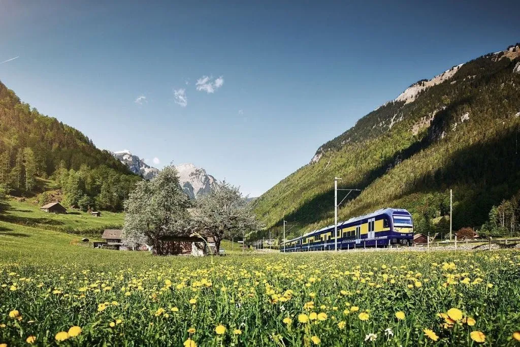 Grindelwald, Interlaken e Lauterbrunnen: Gita di un giorno + trasporto