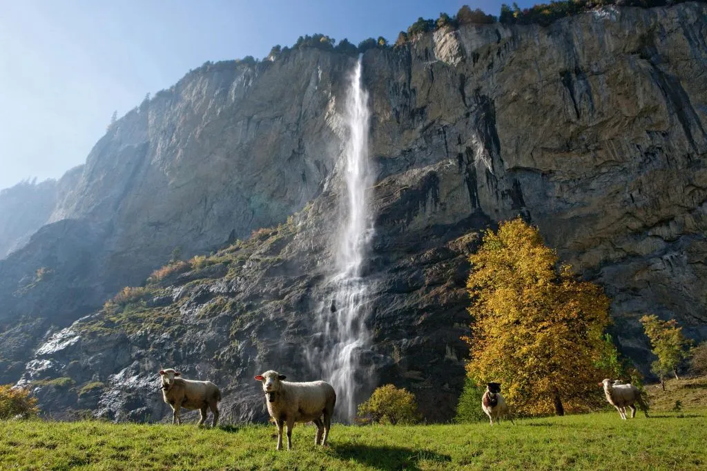 Grindelwald, Interlaken e Lauterbrunnen: Gita di un giorno + trasporto