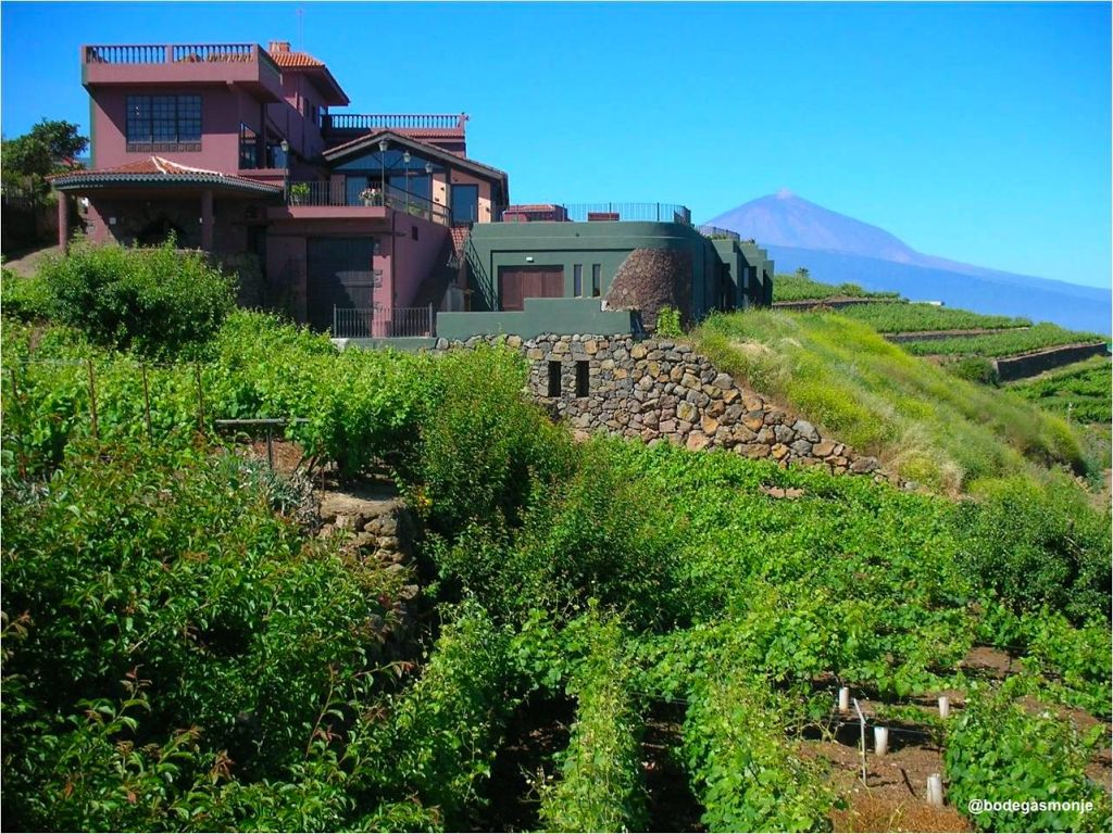 Bodegas Monje: Visita a la bodega + Cata de vinos