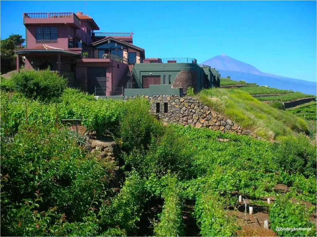 Bodegas Monje: Visita a la bodega + Cata de vinos