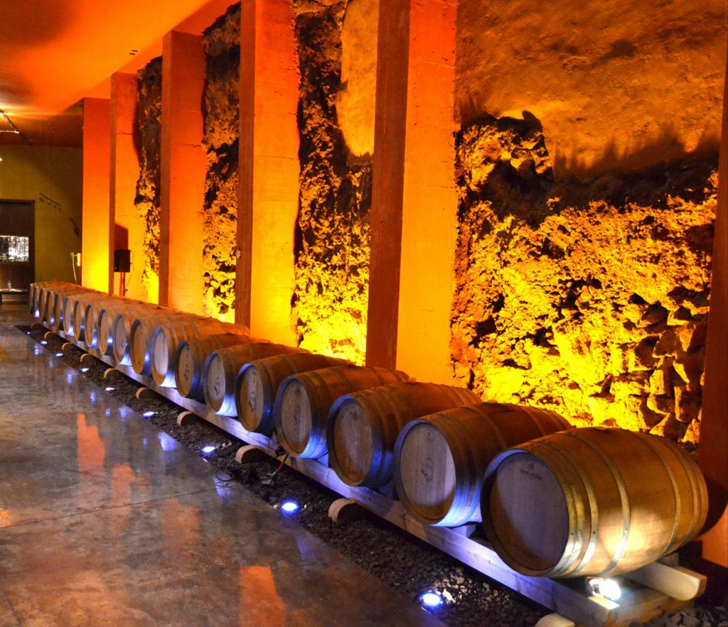 Bodegas Monje: Visita a la bodega + Cata de vinos