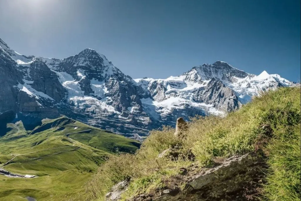 Jungfraujoch: Treno di andata e ritorno da Grindelwald