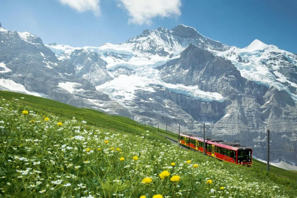 Jungfraujoch: Treno di andata e ritorno da Grindelwald