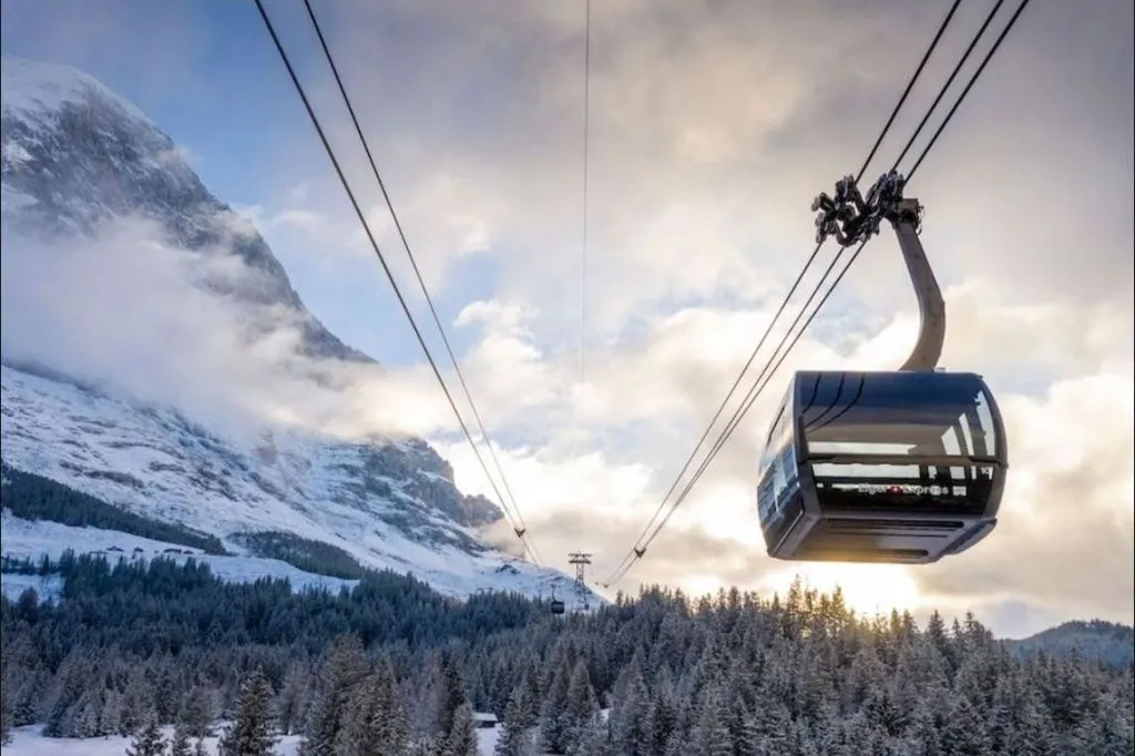 Jungfraujoch: Treno di andata e ritorno da Grindelwald