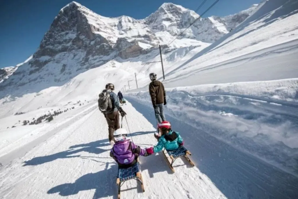 Jungfrau: Unlimited Winter Travel Pass for 3 to 8 Days