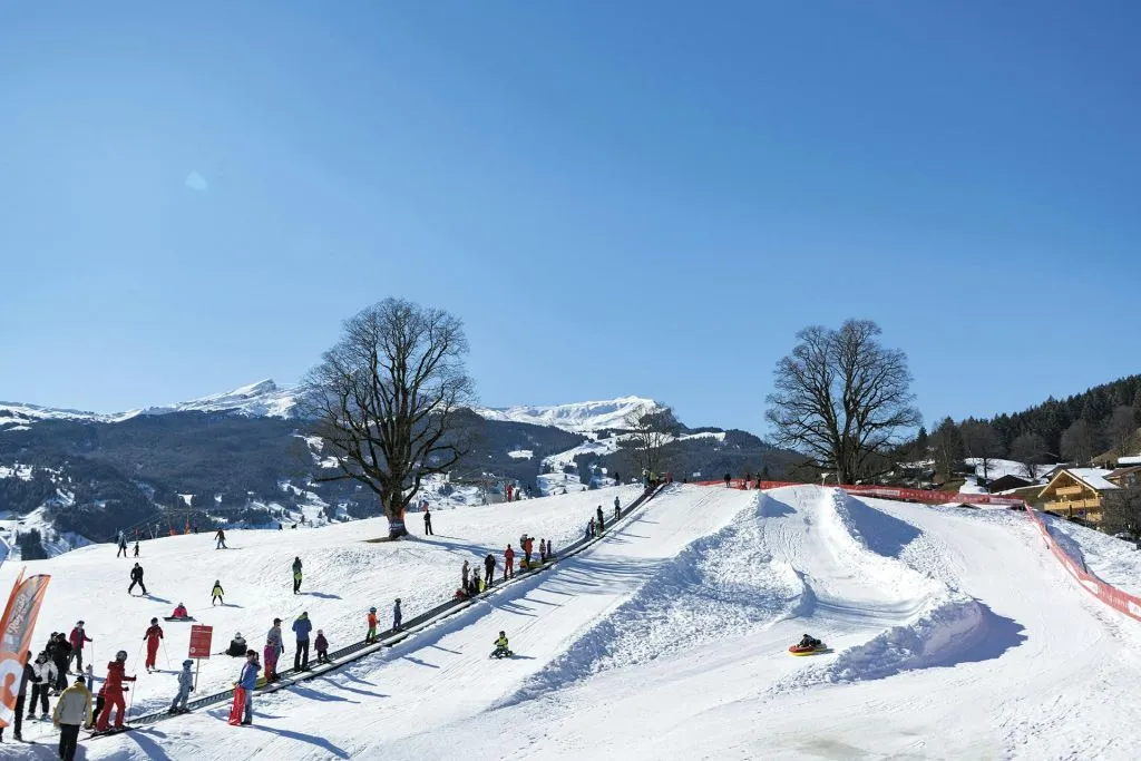 Bodmi Arena: Slittino e tubing a Grindelwald