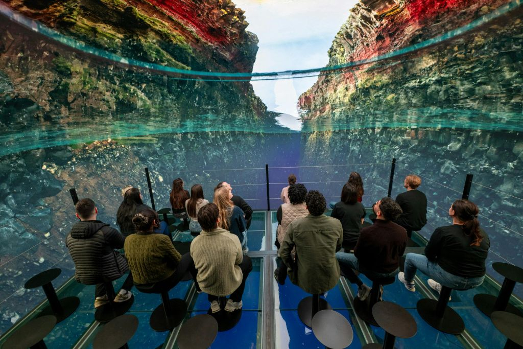 Perlan Museum: Entry Ticket