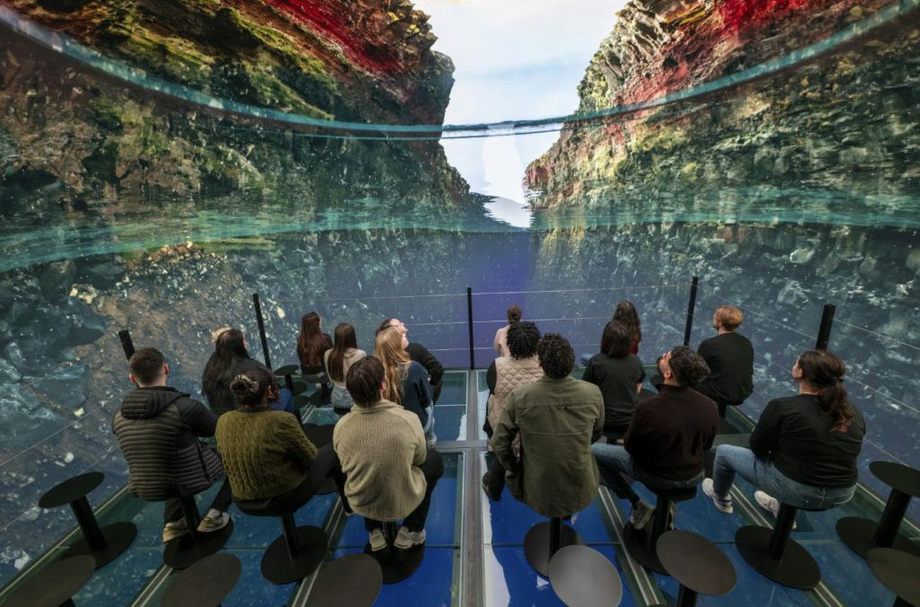 Perlan Museum: Entry Ticket