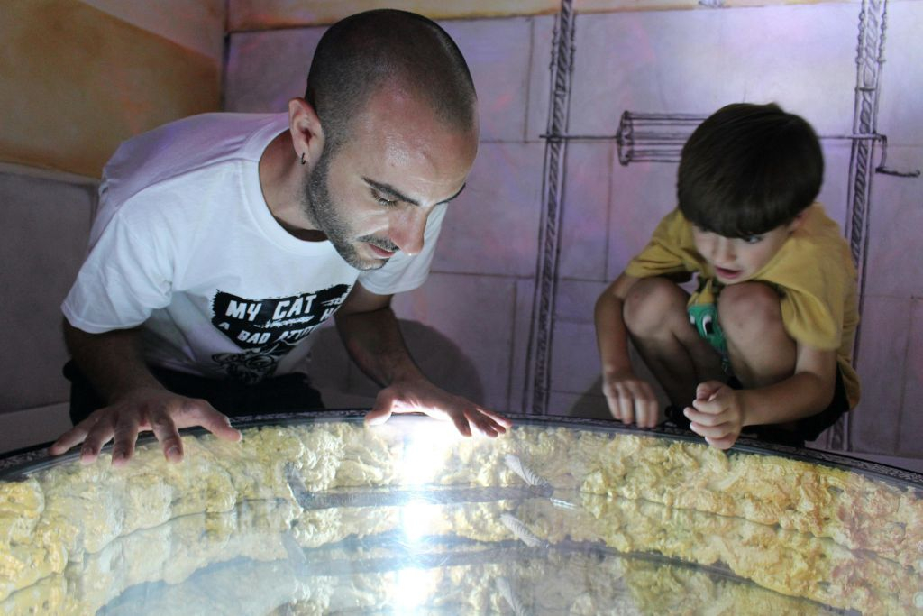 Iluziona Museum