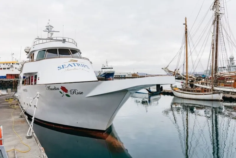 Reykjavík: Cruzeiro de observação de baleias em um iate de luxo