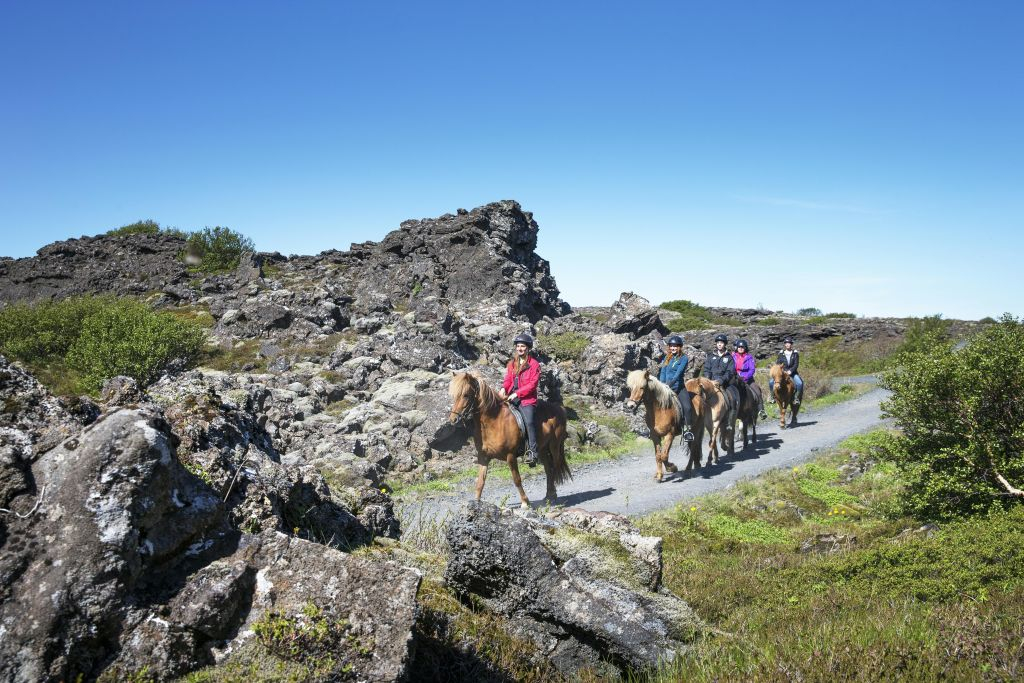 Horseback Riding with Icelandic Horses through the Lava Fields of Hafnarfjörður