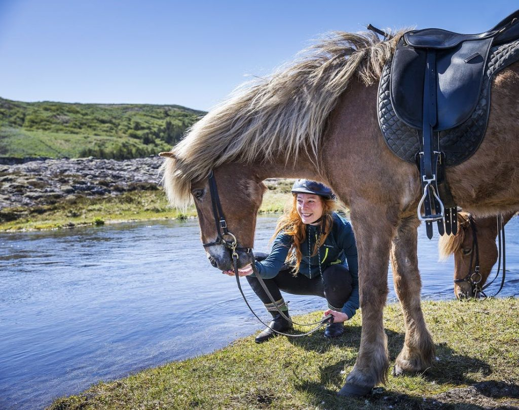 Horseback Riding with Icelandic Horses through the Lava Fields of Hafnarfjörður
