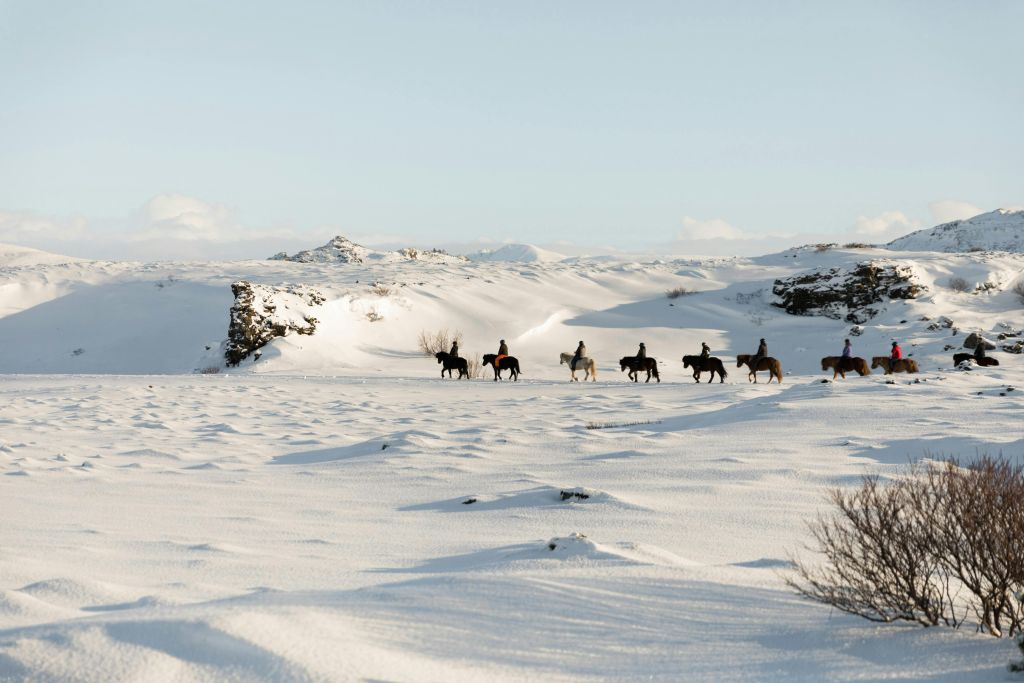 Horseback Riding with Icelandic Horses through the Lava Fields of Hafnarfjörður
