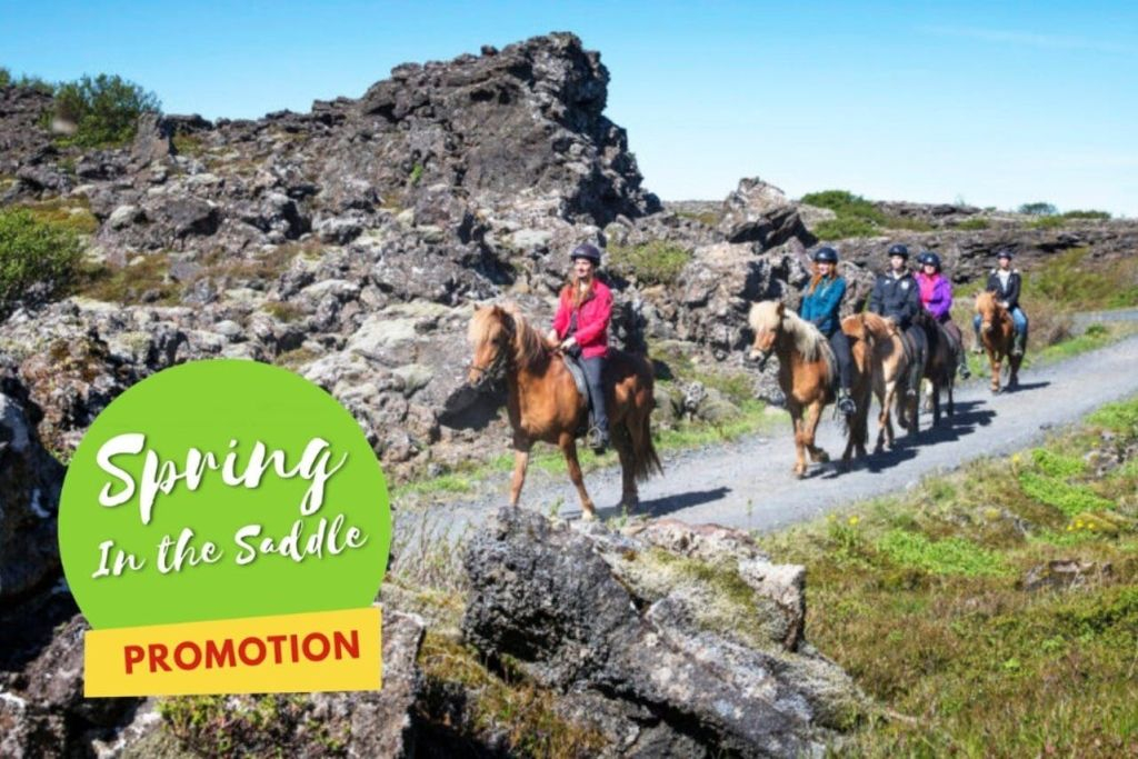 Horseback Riding with Icelandic Horses through the Lava Fields of Hafnarfjörður