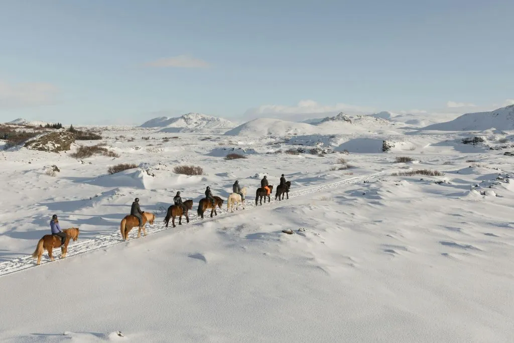Balade sur des chevaux islandais à travers les champs de lave de Hafnarfjörður