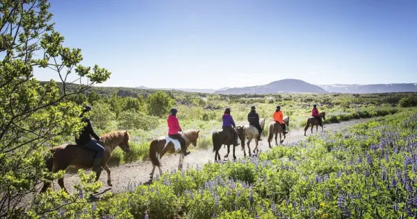 Balade sur des chevaux islandais à travers les champs de lave de Hafnarfjörður