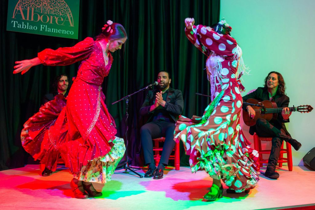 Tablao La Alboreá Granada: Flamenco Show