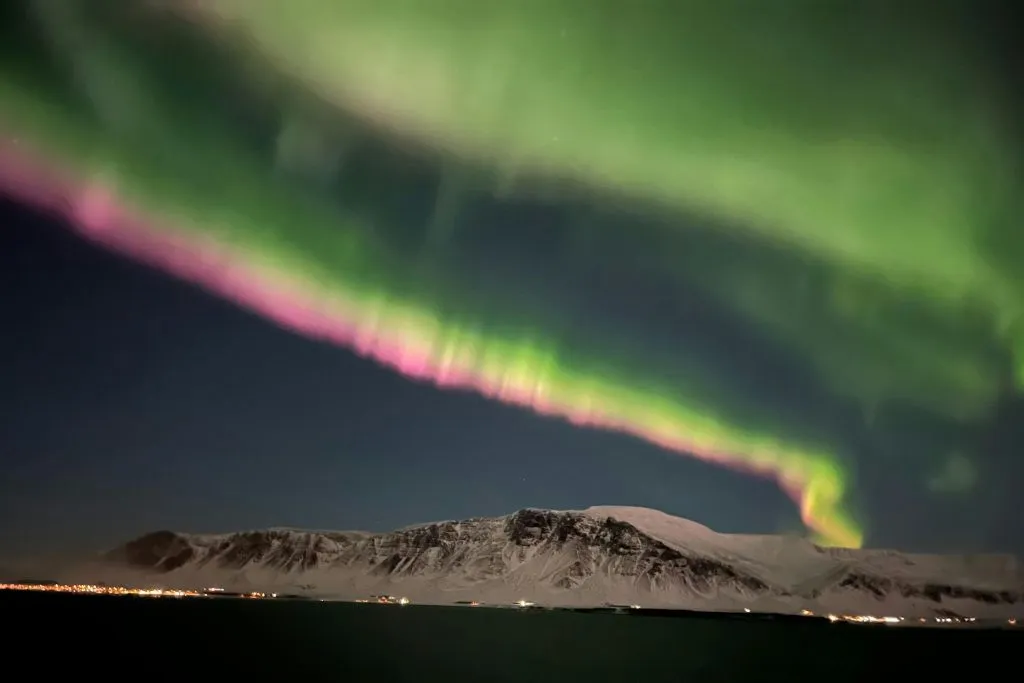 Reykjavik: Cruzeiro combinado de observação de baleias e aurora boreal