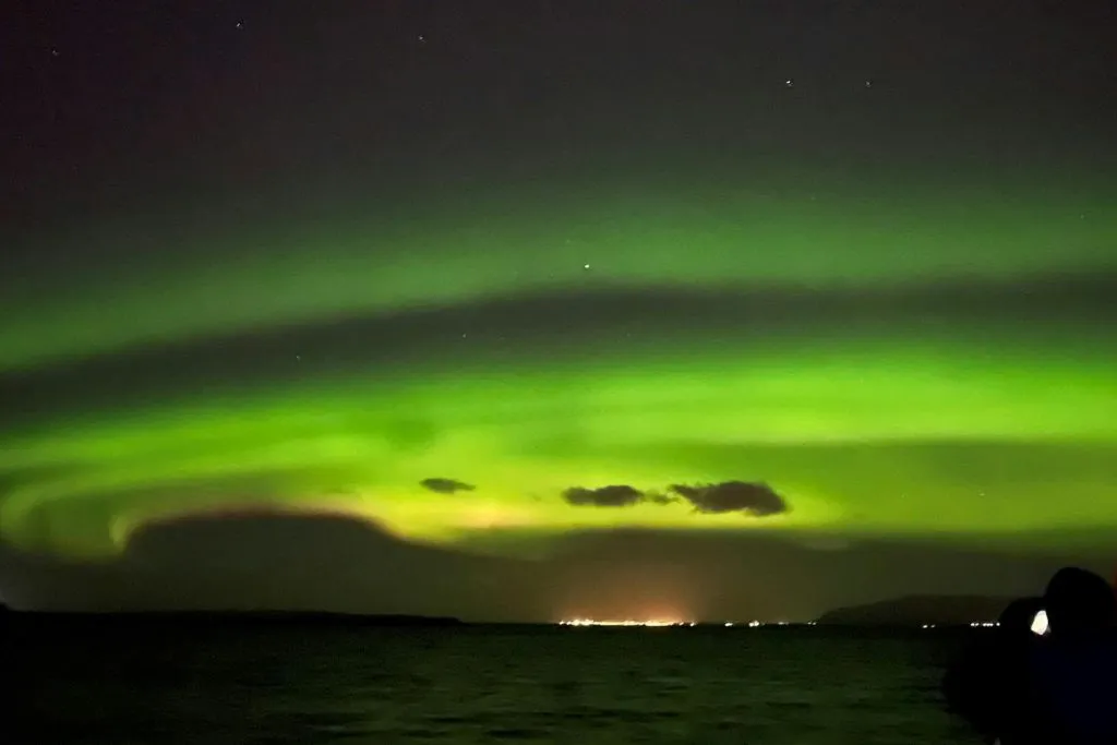 Reykjavik: Cruzeiro combinado de observação de baleias e aurora boreal