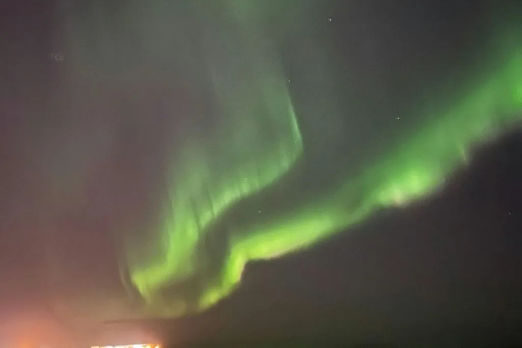 Reykjavik: Cruzeiro combinado de observação de baleias e aurora boreal