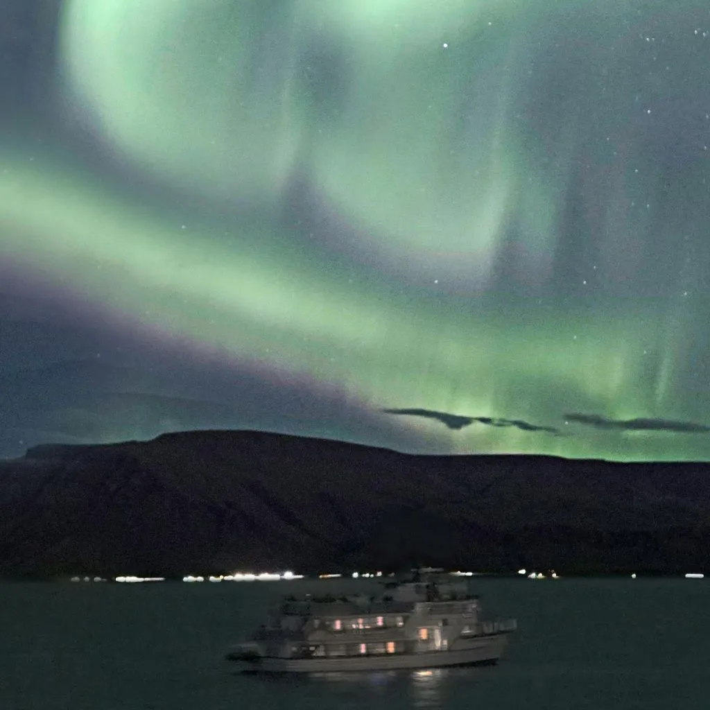 Aurores boréales : Excursion en bateau de 2 heures + Plan alternatif