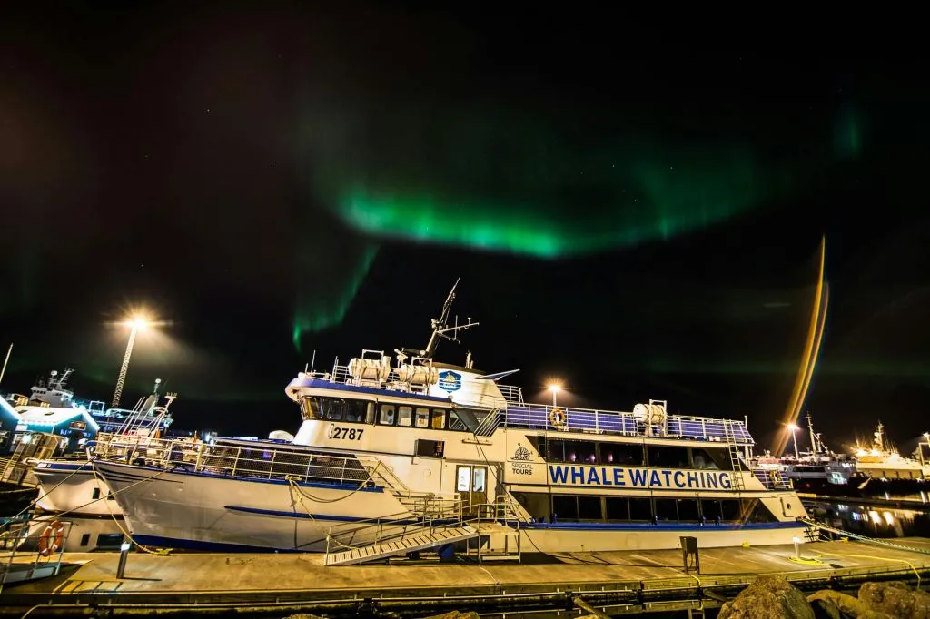 Aurores boréales : Excursion en bateau de 2 heures + Plan alternatif