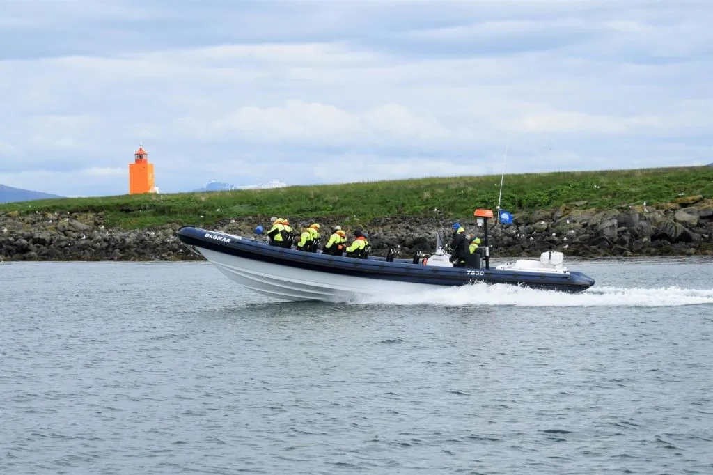 Whale Watching: Whales of Iceland Entry + RIB Boat Tour from Reykjavik