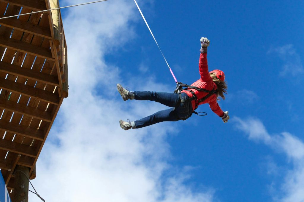 Iceland: The Bird Mega Zipline