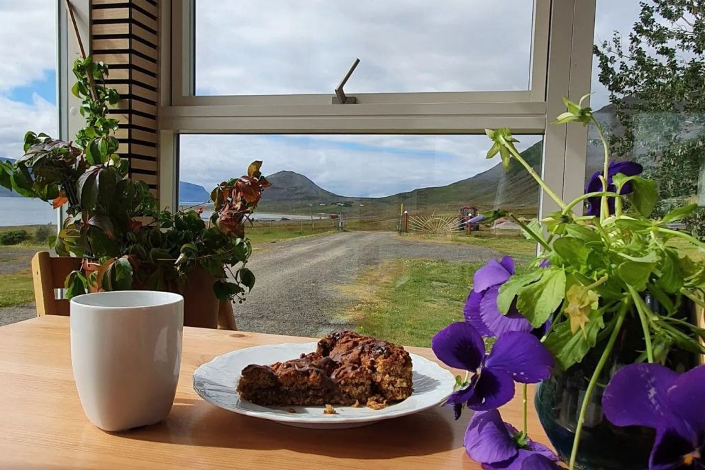 Cascada y Granja de Dynjandi: Excursión desde el puerto de Ísafjörður
