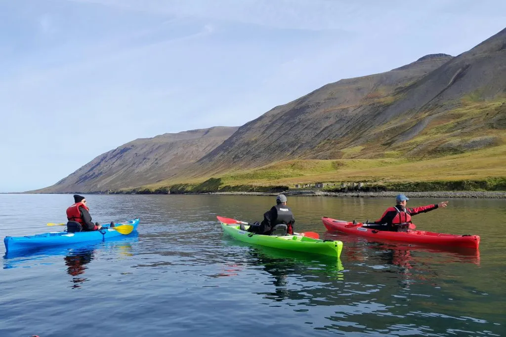 Siglufjordur: Passeio de caiaque com guia particular