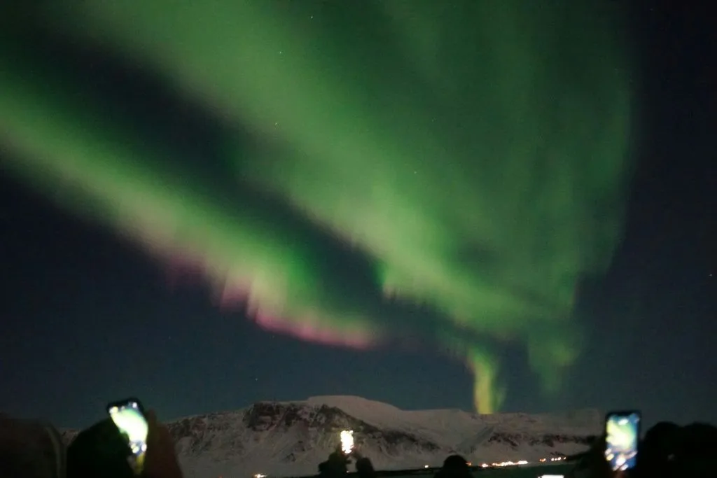 Reykjavik : Excursion en bateau à la recherche d'aurores boréales