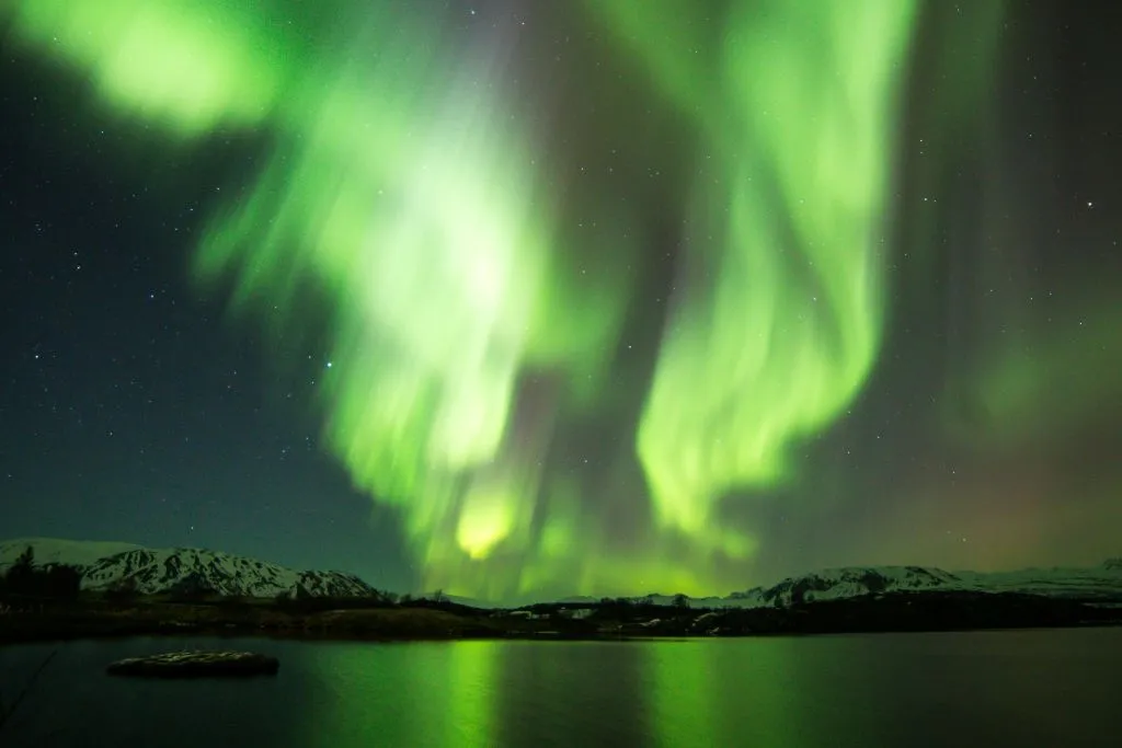 Reykjavik : Excursion en bateau à la recherche d'aurores boréales