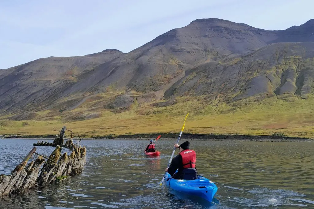 Siglufjordur: Passeio guiado de caiaque
