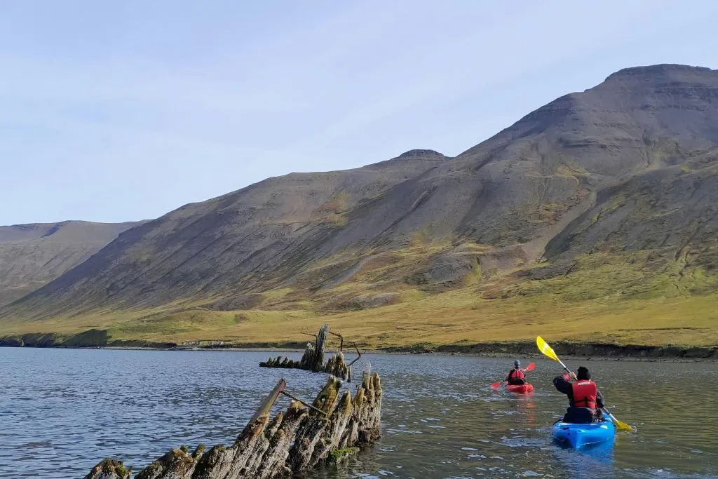 Siglufjordur: Passeio guiado de caiaque
