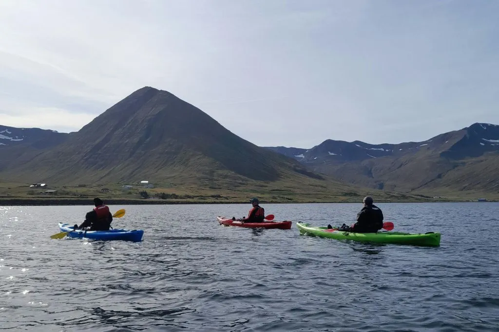 Siglufjordur: Passeio guiado de caiaque