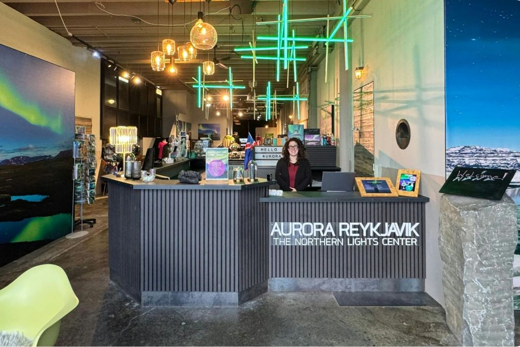 Aurora Reykjavik Northern Lights Center: Entry Ticket