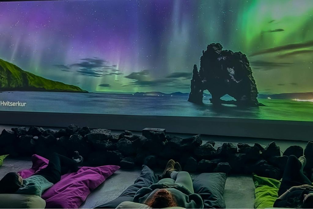 Aurora Reykjavik Northern Lights Center: Entry Ticket