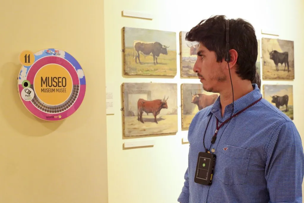 Las Ventas Tour Experience