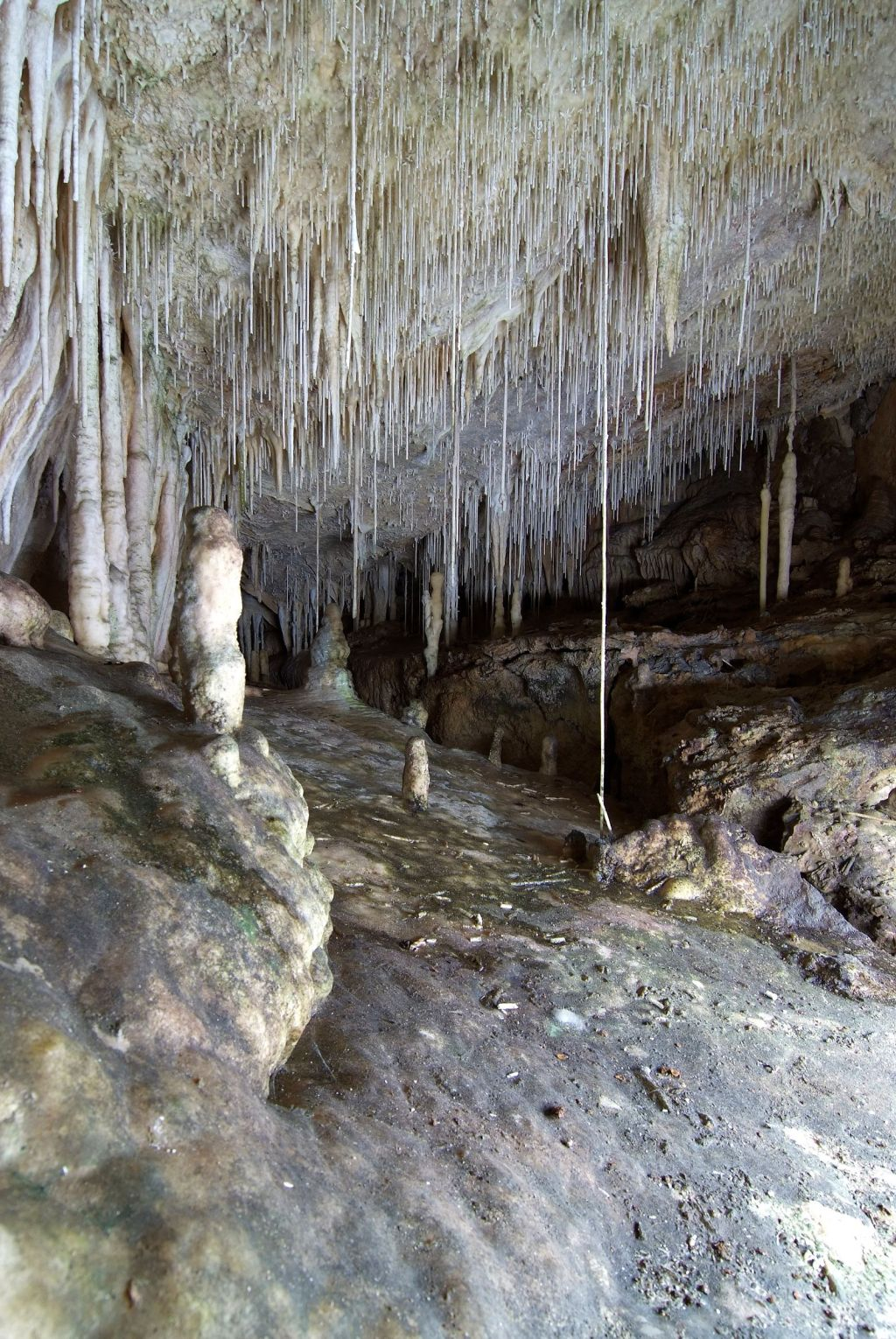 Cuevas de Campanet: Entrada sin colas